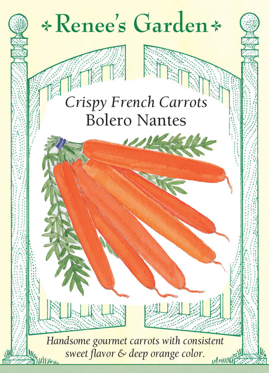 Carrot Bolero Nantes - Renee's Garden
