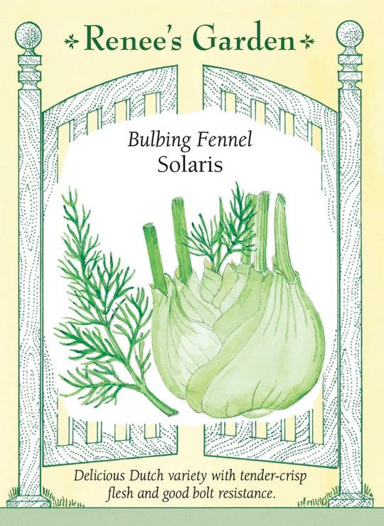 Fennel Trieste Solaris - Renee's Garden