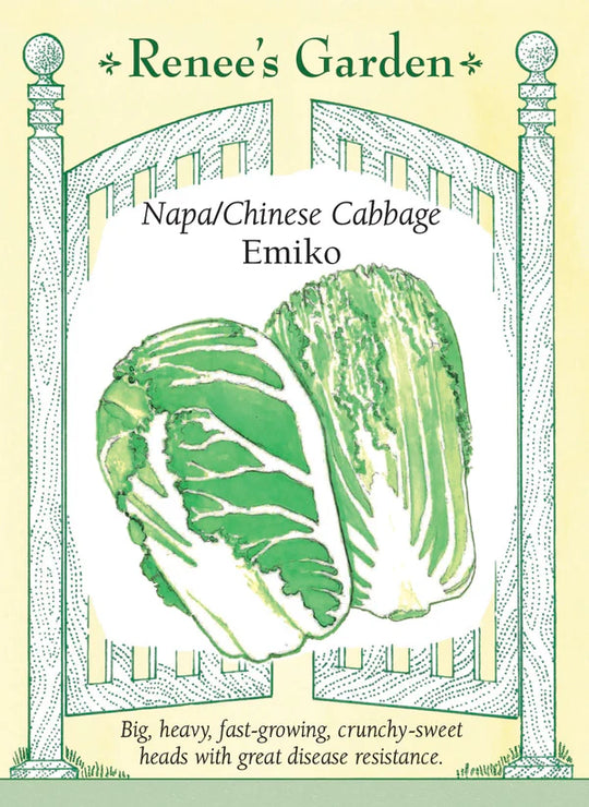 Cabbage Emiko - Renee's Garden
