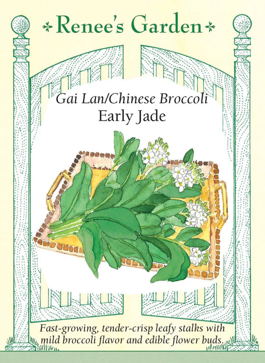 Gai Lan Early Jade - Renee's Garden