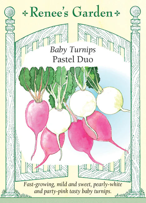 Baby Turnip Pastel Duo - Renee's Garden