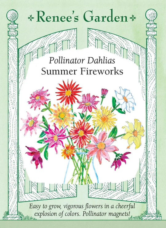 Pollinator Dahlias Summer Fireworks - Renee's Garden