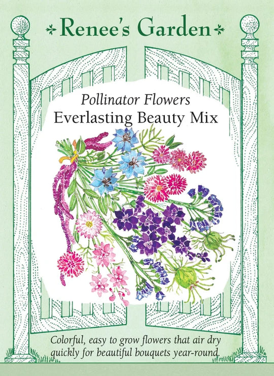 Everlasting Beauty Mix Pollinator Flowers - Renee's Garden