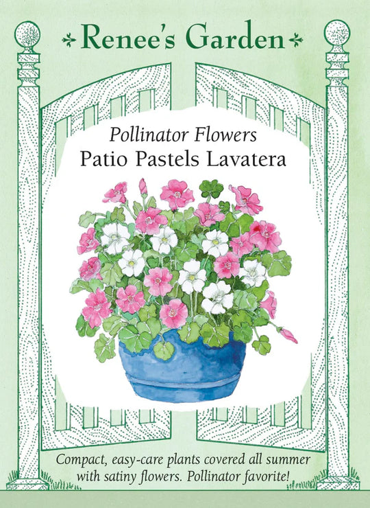 Lavatera Patio Pastels - Renee's Garden