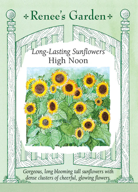 High Noon Long Lasting Sunflowers - Renee's Garden