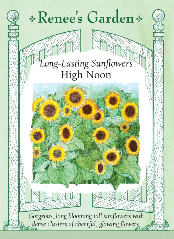 High Noon Long Lasting Sunflowers - Renee's Garden