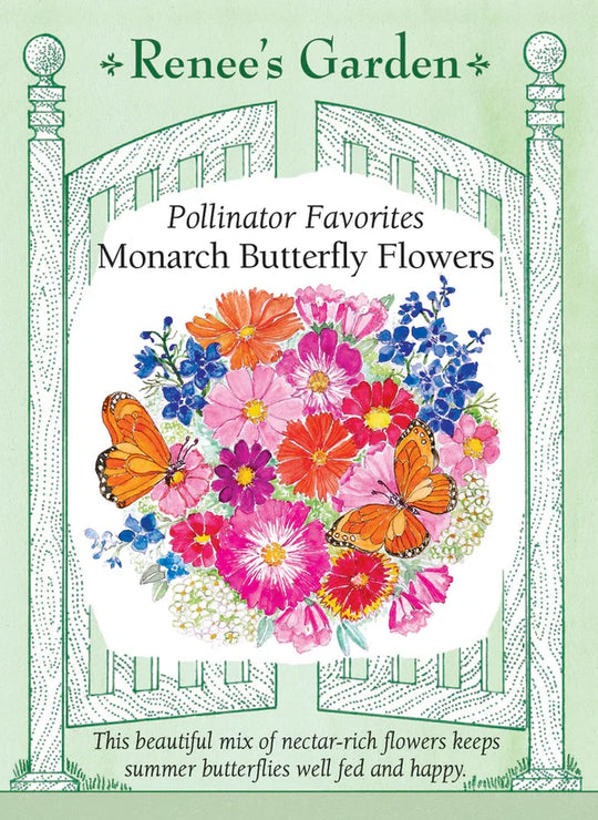 Monarch Butterfly Flower - Renee's Garden