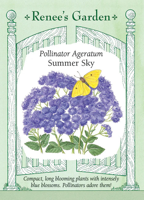 Ageratum Summer Sky - Renee's Garden Seeds