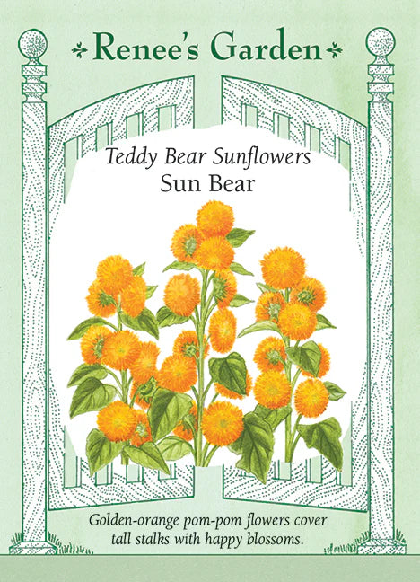 Sunflower Sun Bear - Renee's Garden Seeds