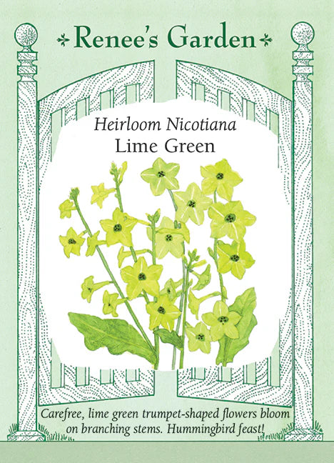 Nicotiana Lime Green - Renee's Garden Seeds