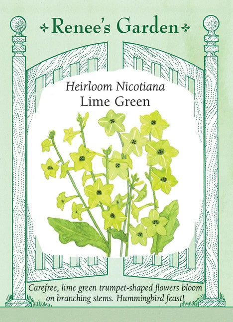 Nicotiana Lime Green - Renee's Garden Seeds