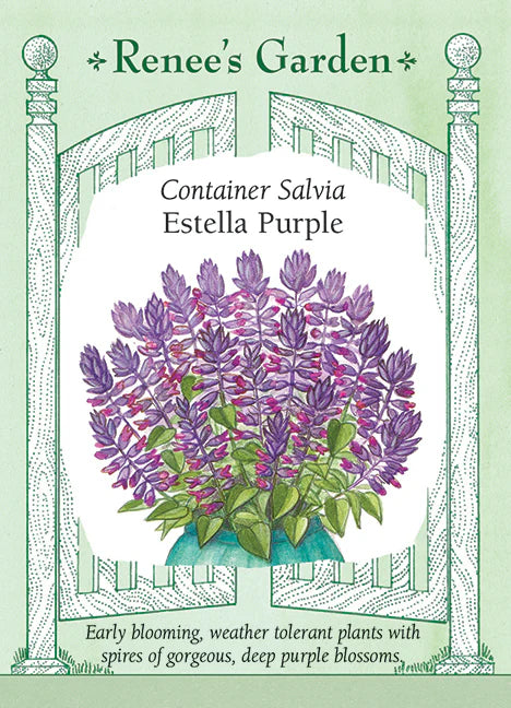 Salvia Estella Purple - Renee's Garden Seeds