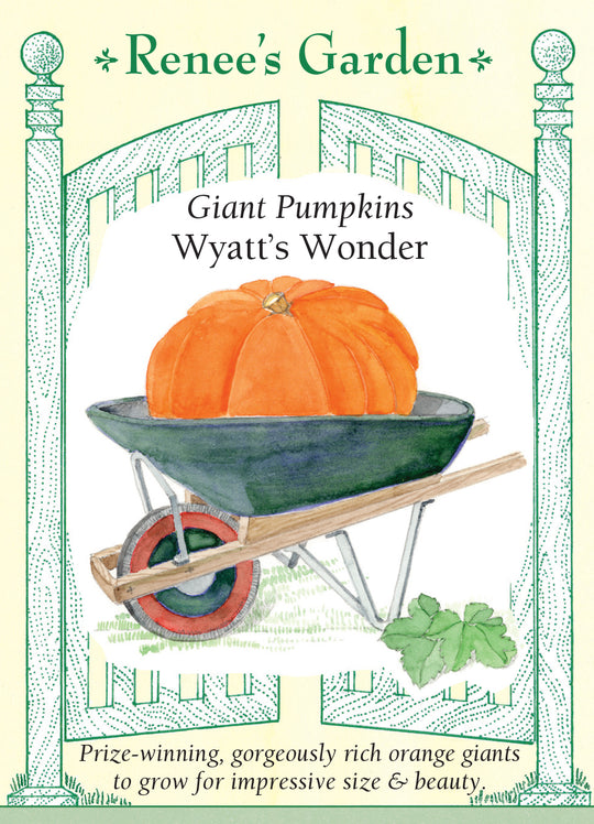 Pumpkin Wyatt's Wonder - Renee's Garden
