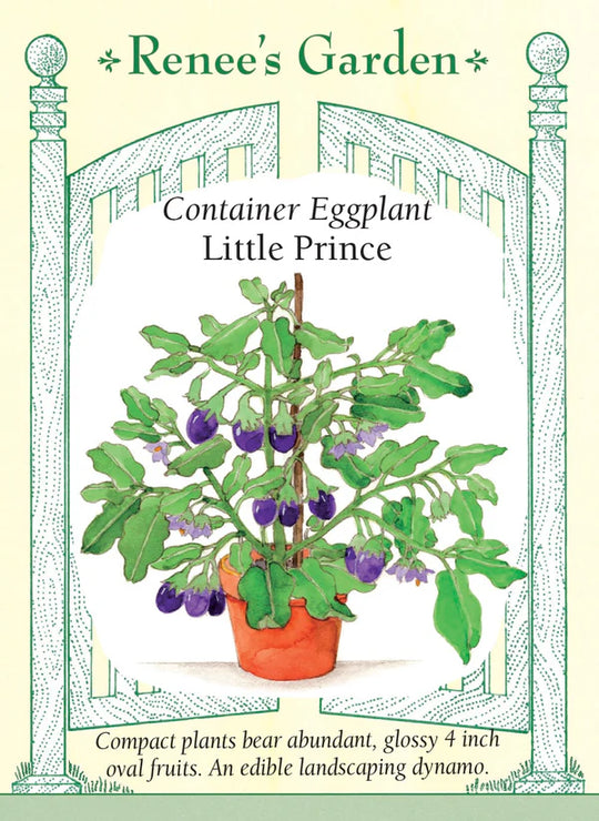 Eggplant Little Prince - Renee's Garden