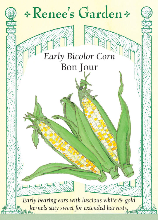 Corn Bon Jour - Renee's Garden