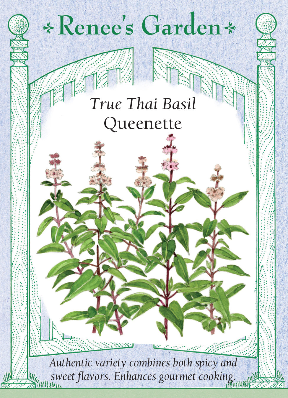 Basil Thai Queenette - Renee's Garden