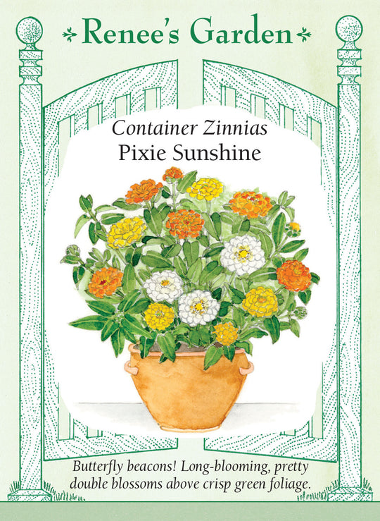 Zinnia Pixie Sunshine - Renee's Garden