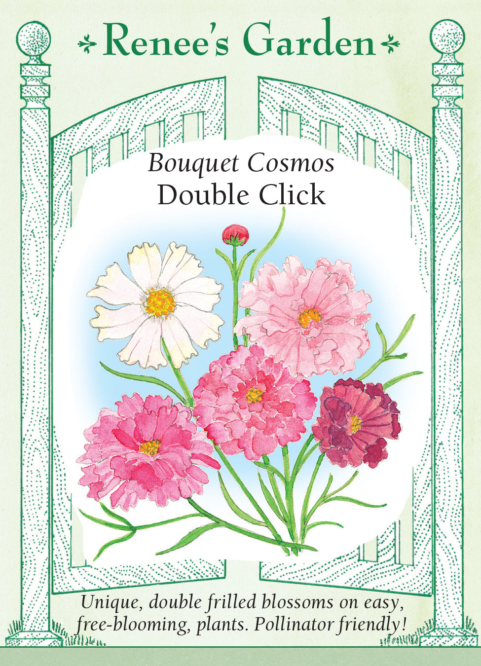 Cosmos Double Click - Renee's Garden
