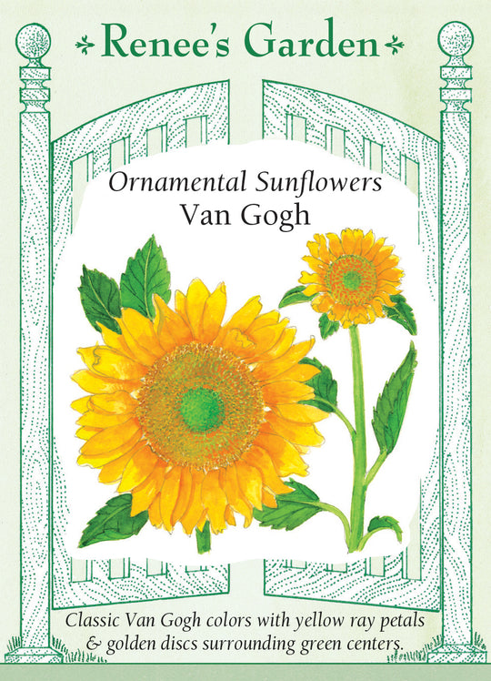 Sunflower Van Gogh - Renee's Garden