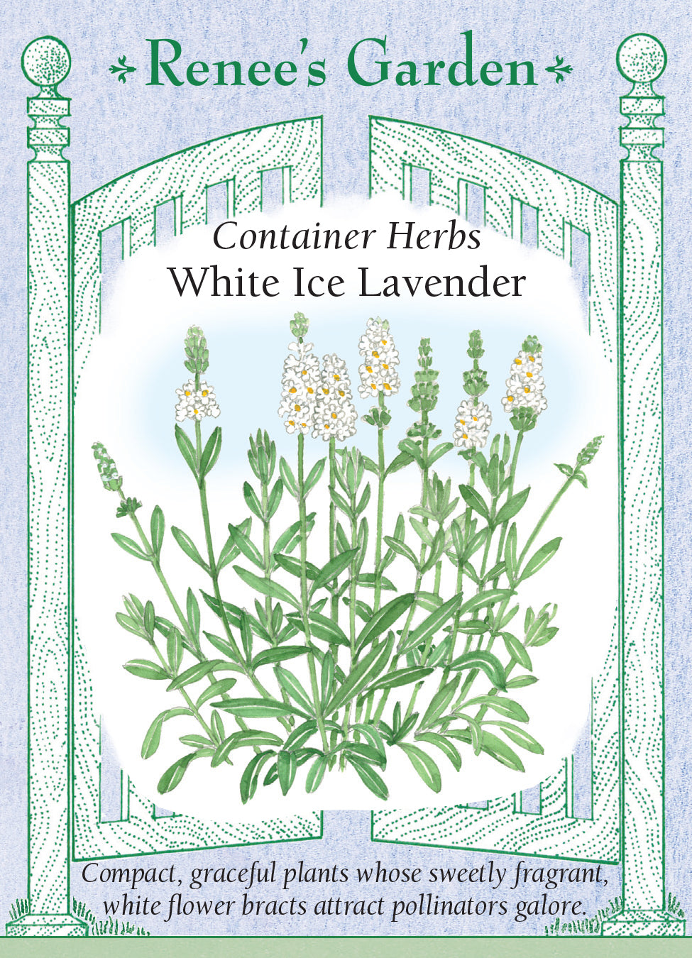Lavender White Ice - Renee's Garden