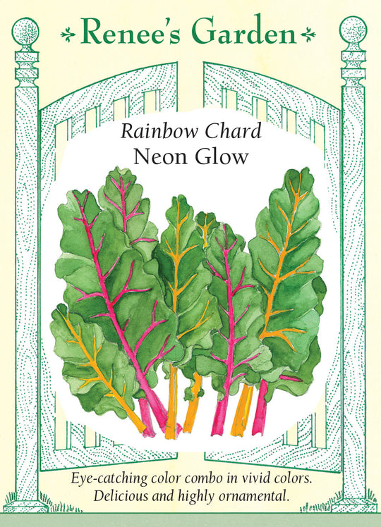 Chard Neon Glow - Renee's Garden