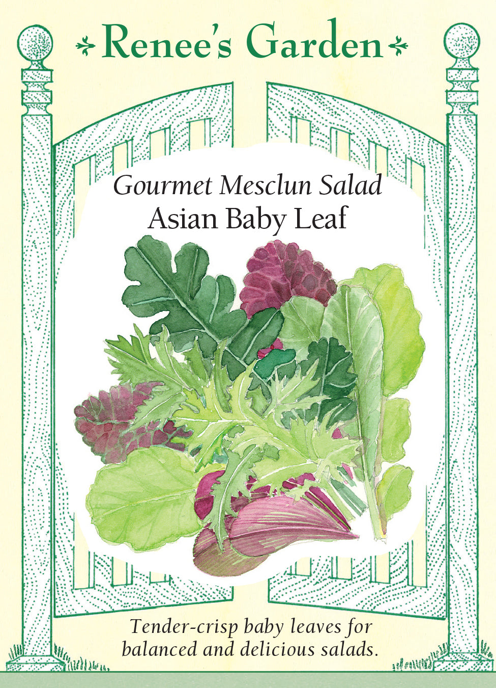 Mesclun Asian Baby Leaf - Renee's Garden
