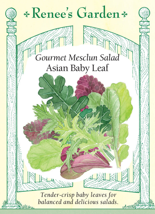Mesclun Asian Baby Leaf - Renee's Garden