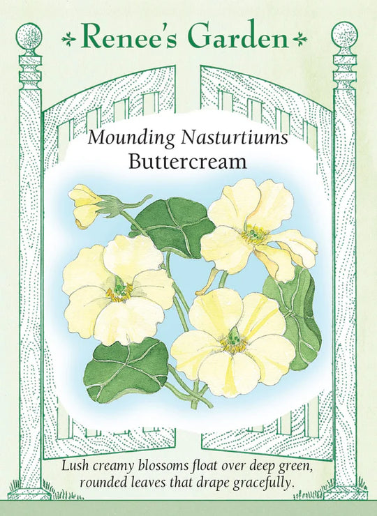 Nasturtium Buttercream - Renee's Garden