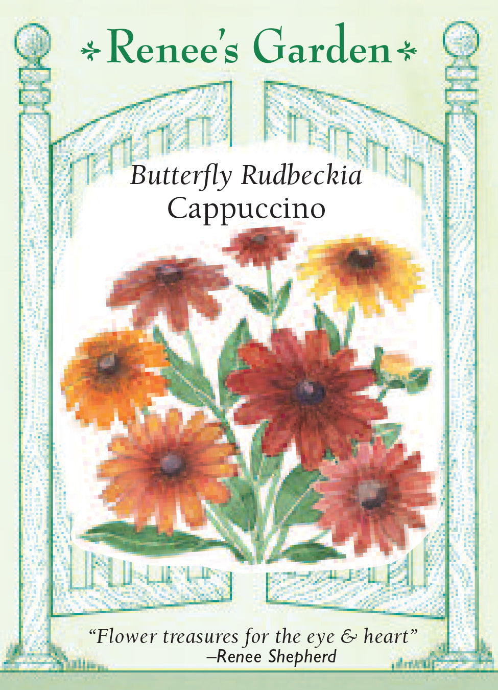 Rudbeckia Cappucino - Renee's Garden