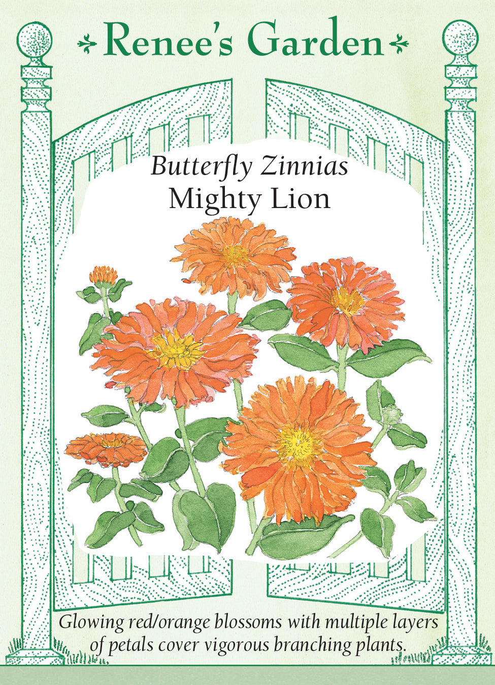 Zinnia Mighty Lion - Renee's Garden