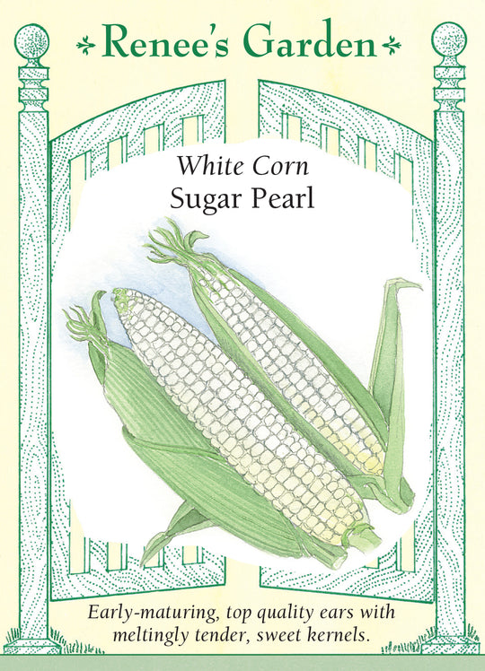 Corn Sugar Pearl - Renee's Garden