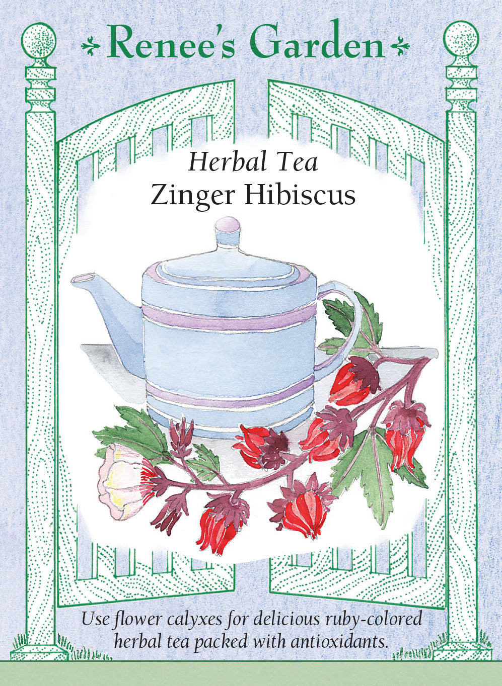 Hibiscus Zinger - Renee's Garden