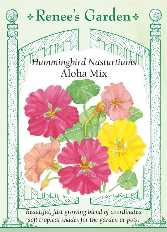 Nasturtium Aloha Mix - Renee's Garden