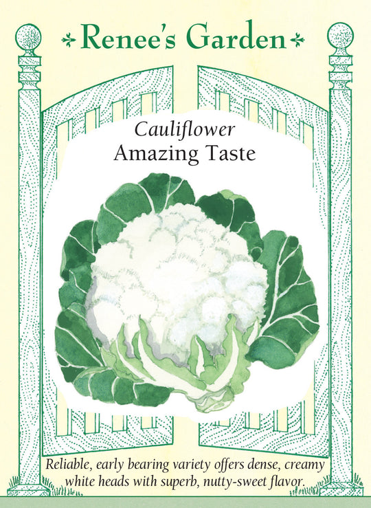 Cauliflower Amazing Taste - Renee's Garden