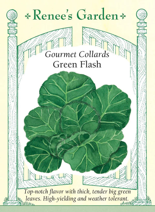 Collards Green Flash - Renee's Garden