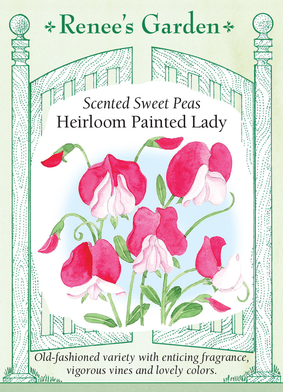 Sweet Pea Heirloom Painted Lady - Renee's Garden