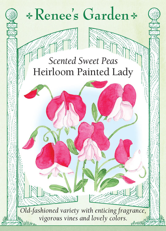 Sweet Pea Heirloom Painted Lady - Renee's Garden