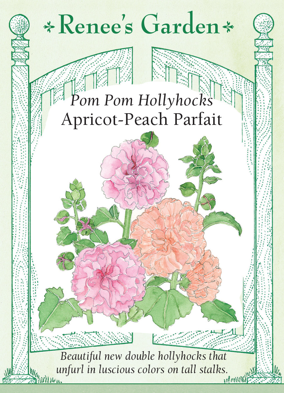 Hollyhock Apricot-Peach Parfait - Renee's Garden