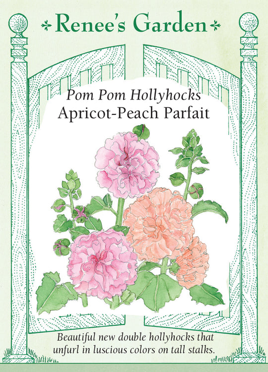 Hollyhock Apricot-Peach Parfait - Renee's Garden