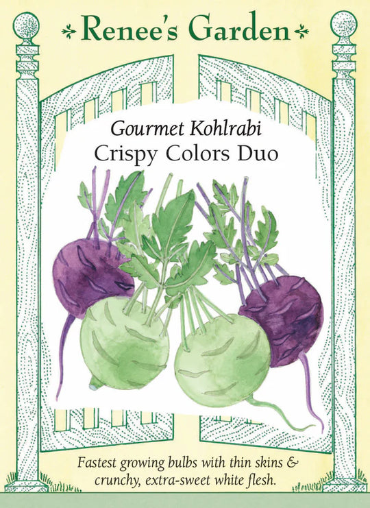 Kohlrabi Crispy Colors Duo - Renee's Garden