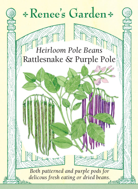 Bean Rattlesnake & Purple Pole - Renee's Garden