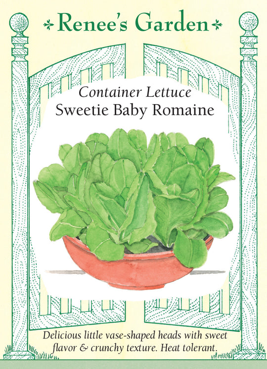 Lettuce Sweetie Baby Romaine - Renee's Garden