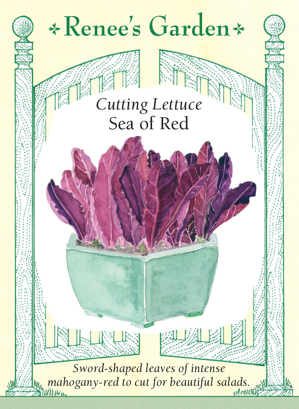 Lettuce Sea of Red - Renee's Garden