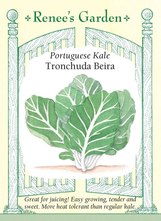 Kale Tronchuda Beira - Renee's Garden
