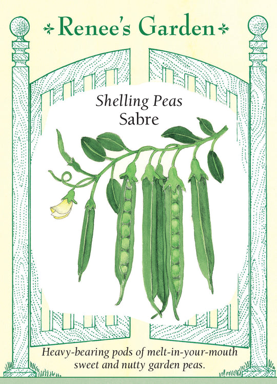 Pea Sabre - Renee's Garden