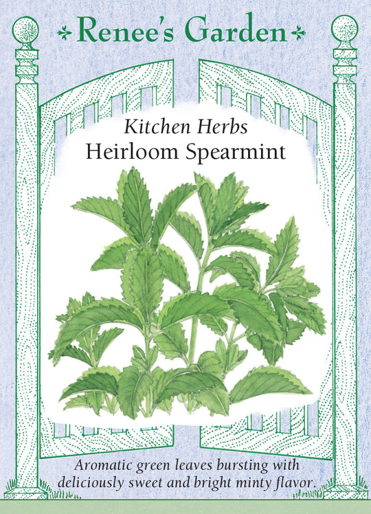 Spearmint Heirloom - Renee's Garden