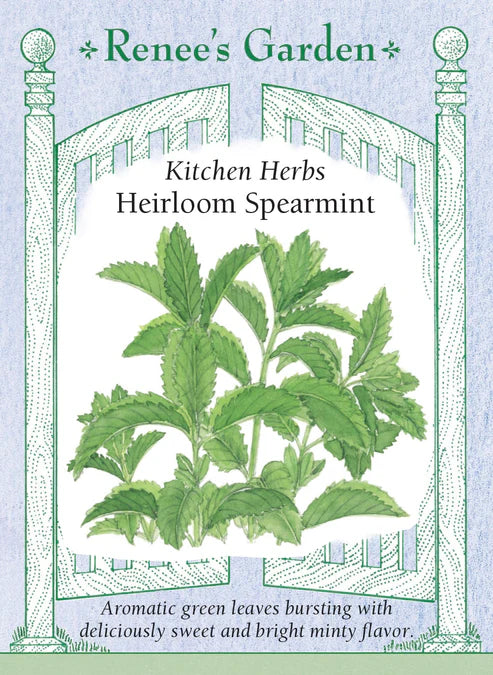 Spearmint Heirloom - Renee's Garden
