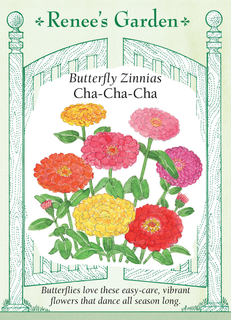 Zinnia Cha-Cha-Cha - Renee's Garden