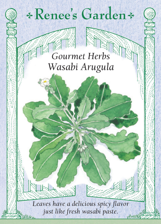 Arugula Wasabi - Renee's Garden