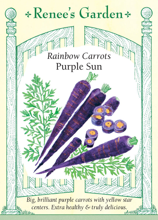 Carrot Purple Sun - Renee`s Garden